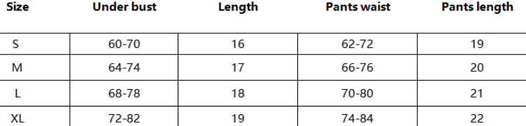 Two Piece Floral Embroidery Stretch Lingerie Set