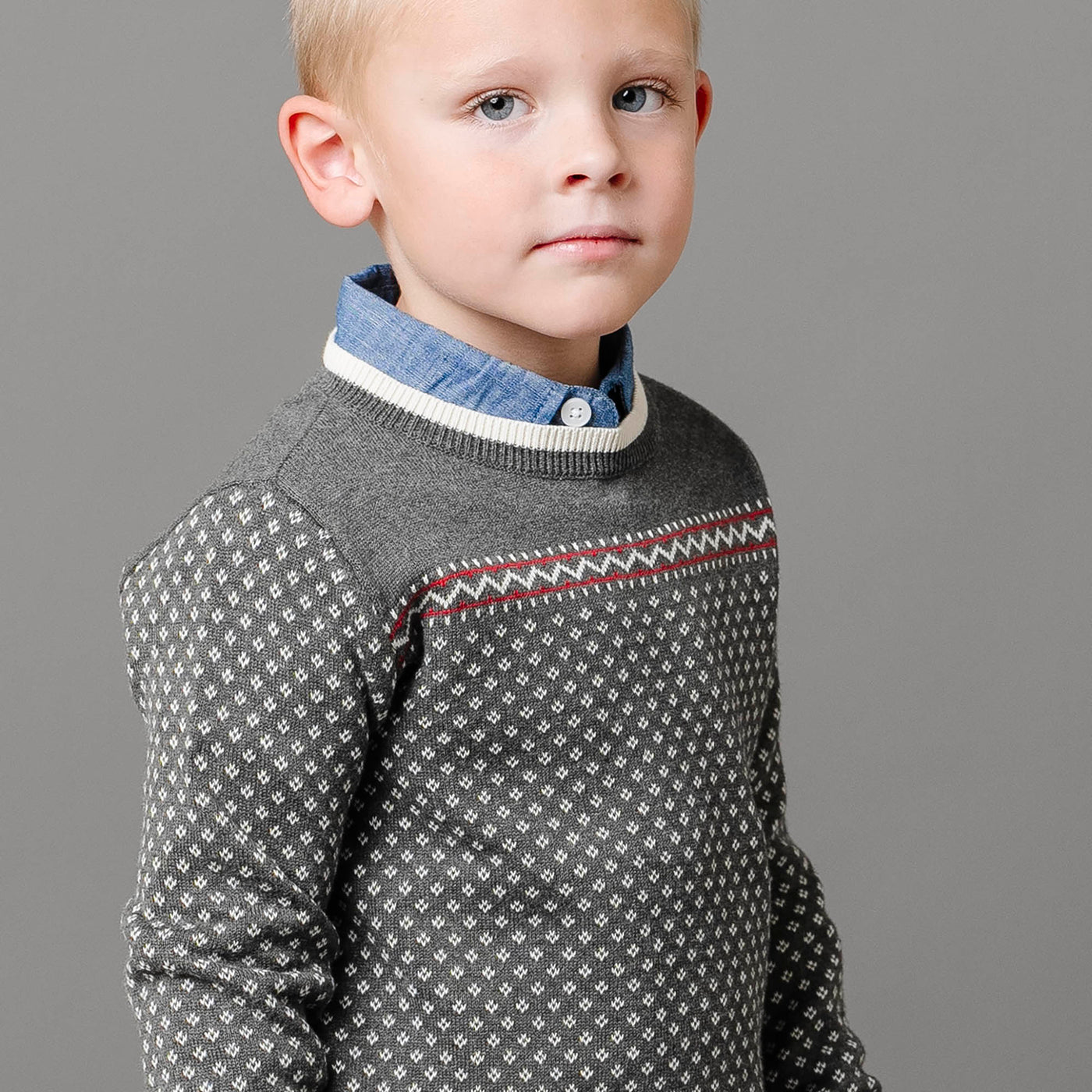 Organic Intarsia Crew Neck Sweater - Baby