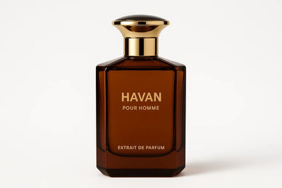 Fragrance Story Havan EDP – Men’s 3.4oz Spray