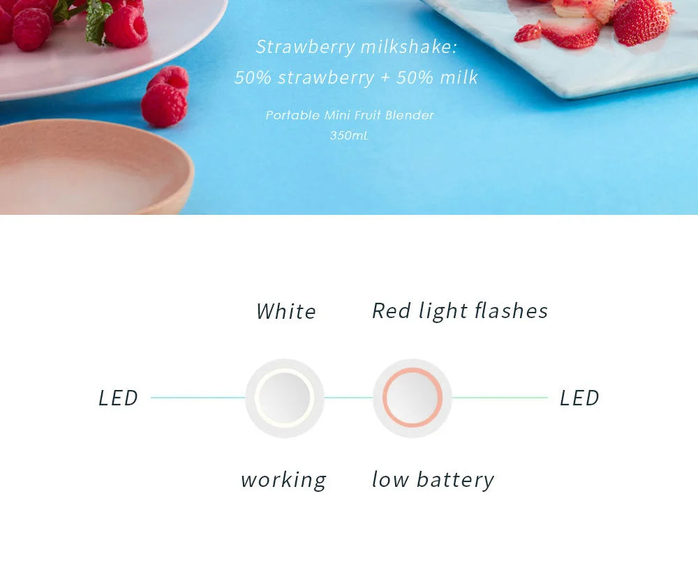 Youer Portable Fruit Juicer