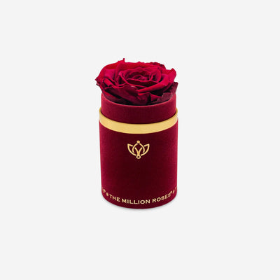 Single Bordeaux Suede Box | Burgundy Rose