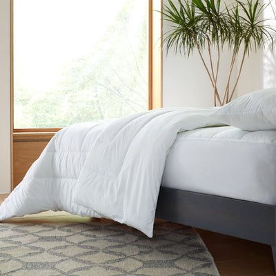 Clean Design Home® All-Season Lightweight Allergen-Barrier Comforter