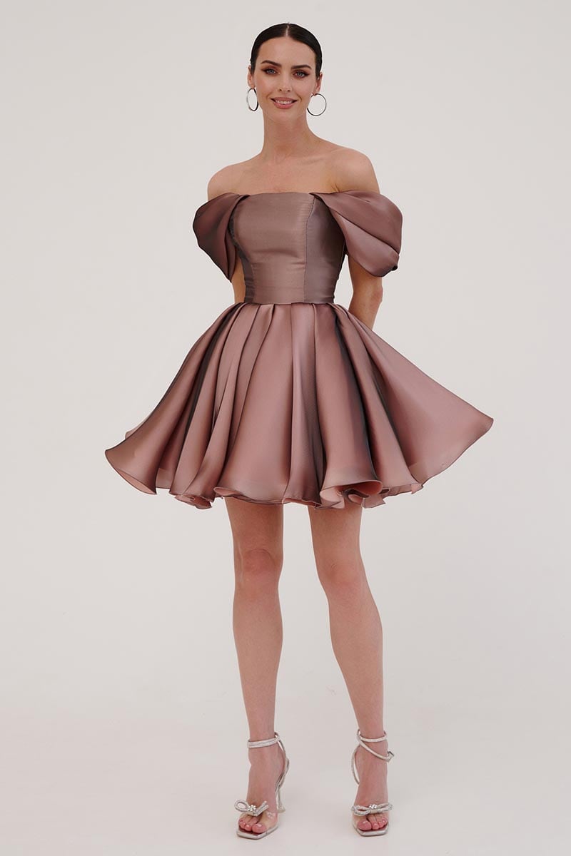 Blissful Diva Mini Skater Dress