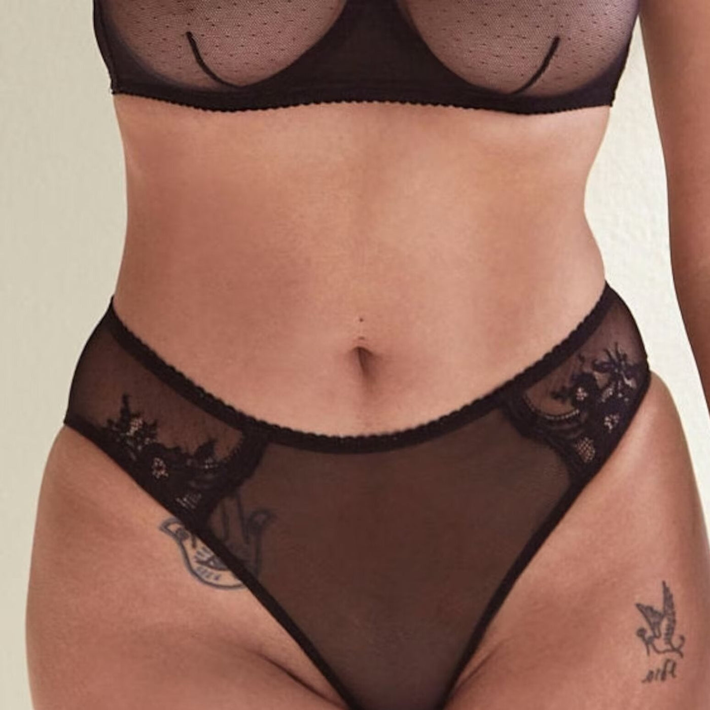 Kim Stretch Lace & Mesh Hipster Brief