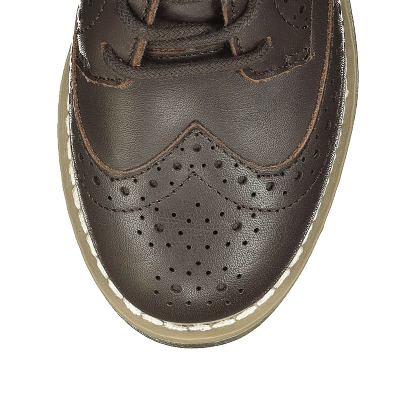 Leather Wingtip Oxford