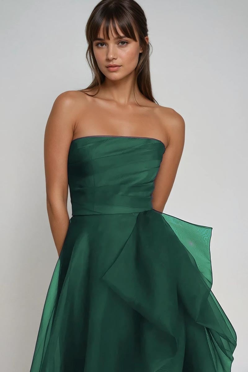 Zoya Strapless Maxi Dress