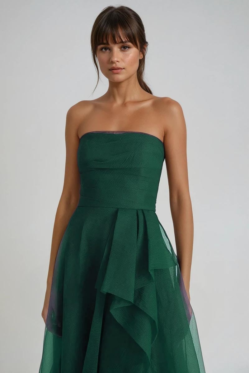 Zoya Strapless Maxi Dress