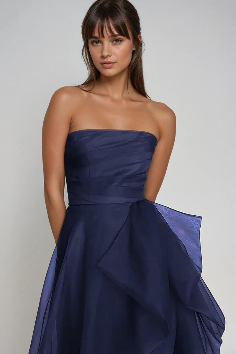 Zoya Strapless Maxi Dress